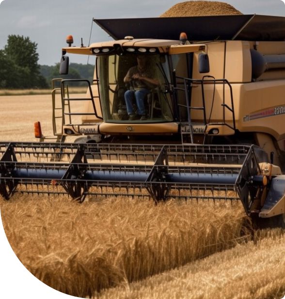 Ішінде сперматозоидтар көп