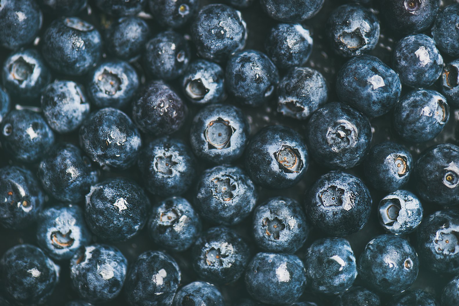Blueberry Innovation: Startups Pivot from Produce to Premium CPG