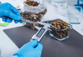 Сертификация кормов для животных